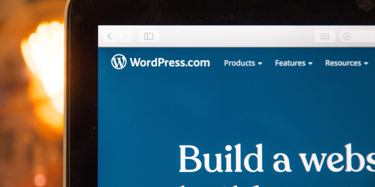 WordPressのログイン画面がおかしい、管理画面にいけない時に　(Xserver使用）